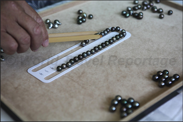 Selection of the pearls based on the diameter using a calibrated mask Selection of the pearls based on the diameter using a calibrated mask