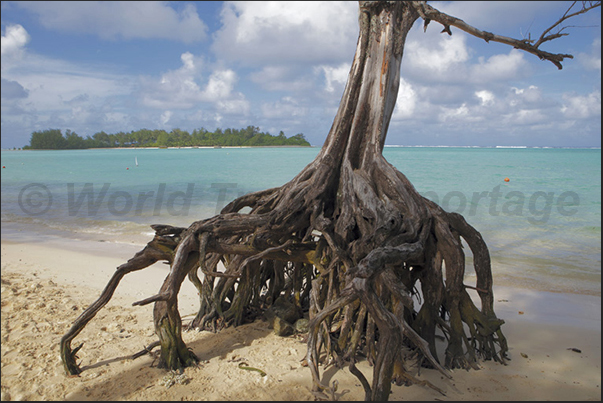 Islands on the reef along the east coast of Rarotonga Islands on the reef along the east coast of Rarotonga