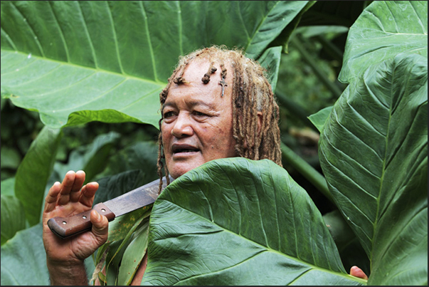 Born in the forest, Pa is the best guide on the island and is known throughout the archipelago for his knowledge of the forest Born in the forest, Pa is the best guide on the island and is known throughout the archipelago for his knowledge of the forest