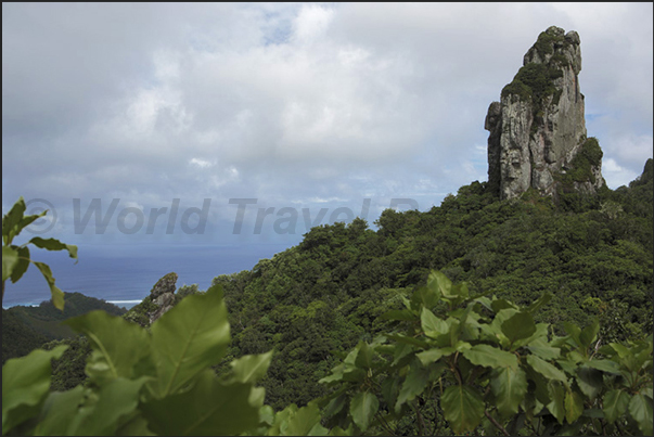 To cross the island is necessary a guide to disentangle in the tropical vegetation where it is easy to lose the path