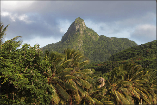 Rocky peaks rising over the forest at times surpassing the 400 m high