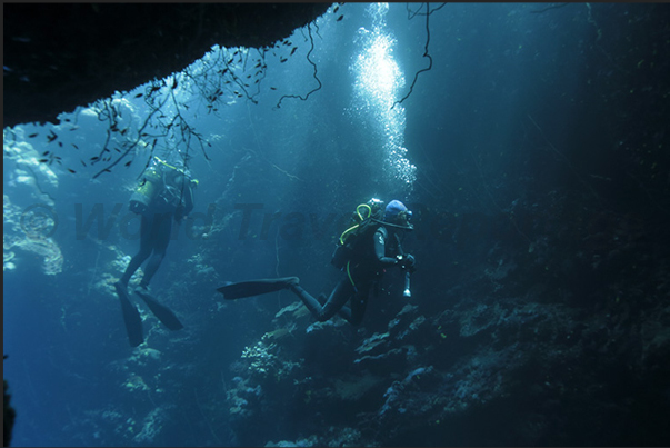 The caves of Sha ab Jbna Reef