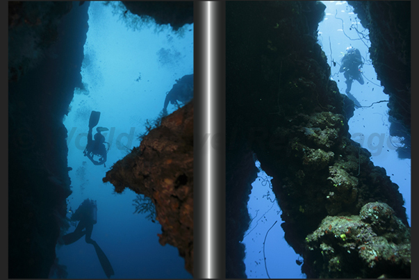 The caves of Sha ab Jbna Reef The caves of Sha ab Jbna Reef