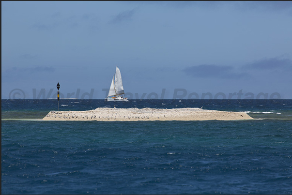 There are many sand banks in the lagoon, some of them are very large and dangerous for the navigation There are many sand banks in the lagoon, some of them are very large and dangerous for the navigation