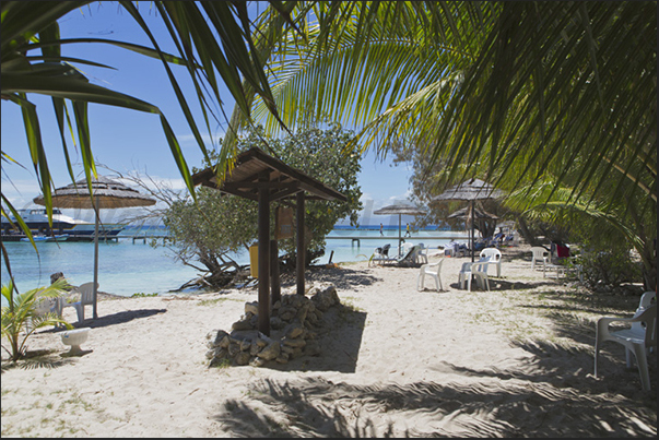 Amédée Lighthouse Island. The beaches are accessible by a daily ferry that connects the island with Noumea