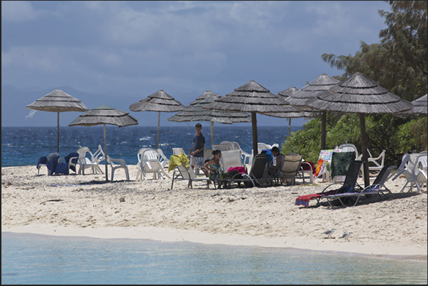 Amédée  Island. Coral sand beach, clear sea protected by coral reefs and tropical forest, these are the features of the island