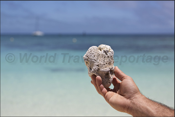 Pumice stone out of a submerged volcano near Fiji islands and transported by marine currents up in New Caledonia Pumice stone out of a submerged volcano near Fiji islands and transported by marine currents up in New Caledonia