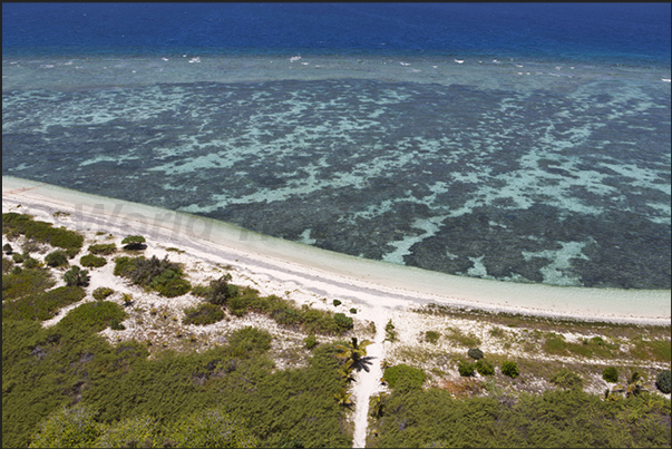 Amédée lighthouse island. Beach on the east coast Amédée lighthouse island. Beach on the east coast
