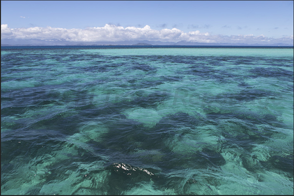Grande Terre south coast, view from the coral reef Grande Terre south coast, view from the coral reef