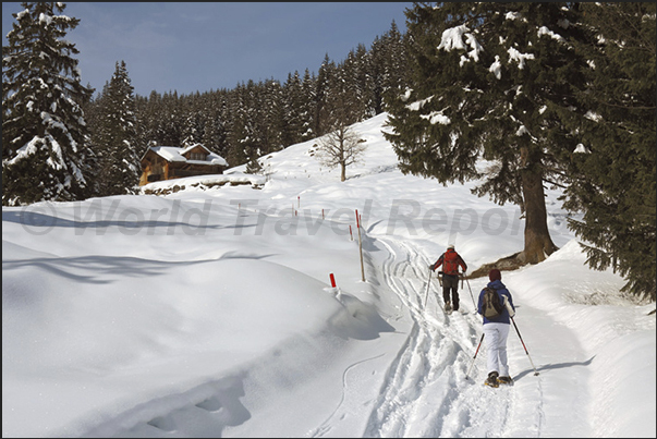 Walk in Rosenlaui Valley with snowshoes. The valley that runs from Meiringen to Grindelwald Walk in Rosenlaui Valley with snowshoes. The valley that runs from Meiringen to Grindelwald
