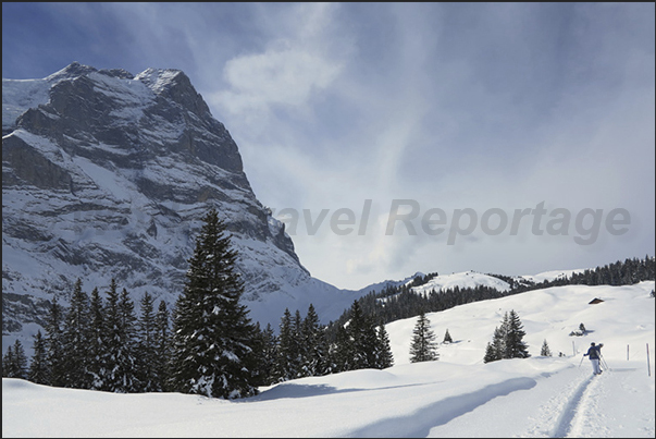 Mount Wetterhorn (3692 m)