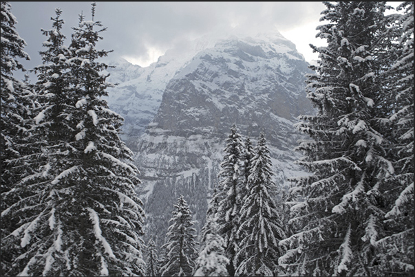 The panorama seen from the train to Murren The panorama seen from the train to Murren