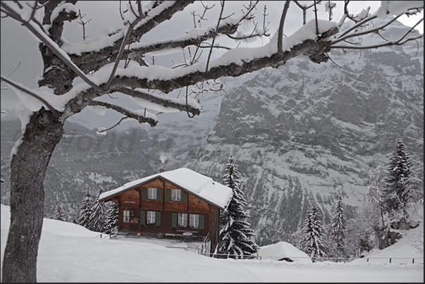 The mountains in front of Murren