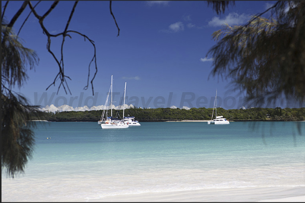 Moorings in Kuto Bay Moorings in Kuto Bay