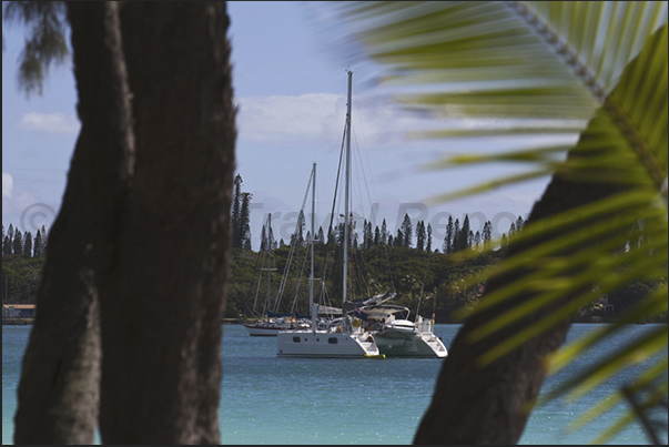 Kuto Bay. On the horizon, the endemic pine (Araucaria columnaris)