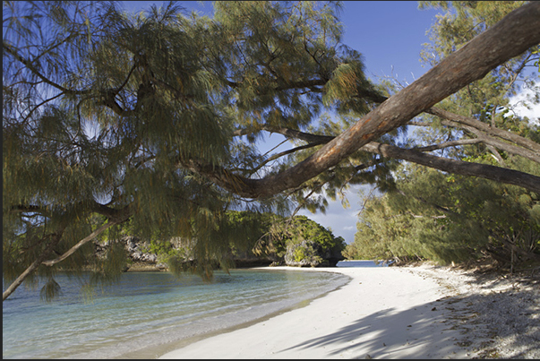 Kanuméra Bay (south-west coast), a strip of coral sand separates it from the large Kuto Bay