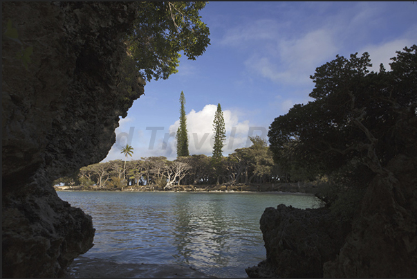 The rocks at the base eroded by the sea, the endemic pine and coral sand beaches are the features of the island’s coasts The rocks at the base eroded by the sea, the endemic pine and coral sand beaches are the features of the island’s coasts