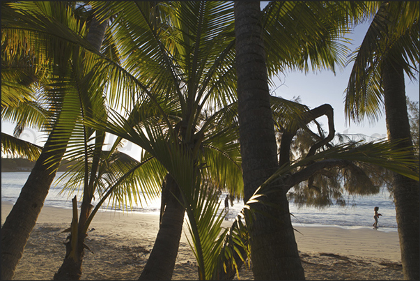 The beach of Kuto Bay