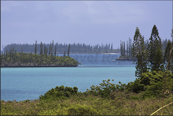 The rocks at the base eroded by the sea, the endemic pine and coral sand beaches are the features of the island’s coasts The rocks at the base eroded by the sea, the endemic pine and coral sand beaches are the features of the island’s coasts