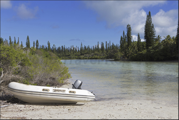 Oro Bay. Sea water filters through the coral reef reaching the pine forests