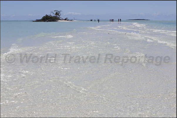 Sand bank in the lagoon. Basis for the emergence of a new island