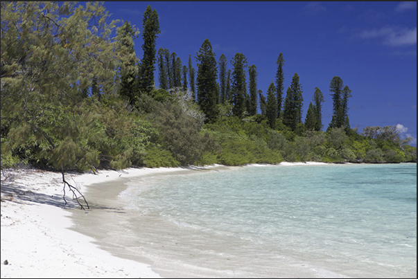 The beach of Nokanhui Island, a small uninhabited island in the lagoon in front of the Isle of Pines The beach of Nokanhui Island, a small uninhabited island in the lagoon in front of the Isle of Pines