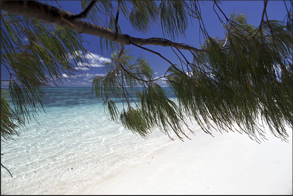 The beach of Nokanhui Island, a small uninhabited island in the lagoon in front of the Isle of Pines The beach of Nokanhui Island, a small uninhabited island in the lagoon in front of the Isle of Pines
