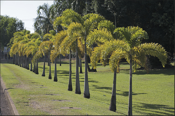 One of the many parks that characterize the town