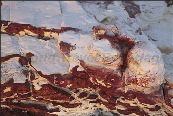 Cox Peninsula (west side of Darwin Bay). The sunset light highlights the red veins (oxidation of iron) present in the white rocks