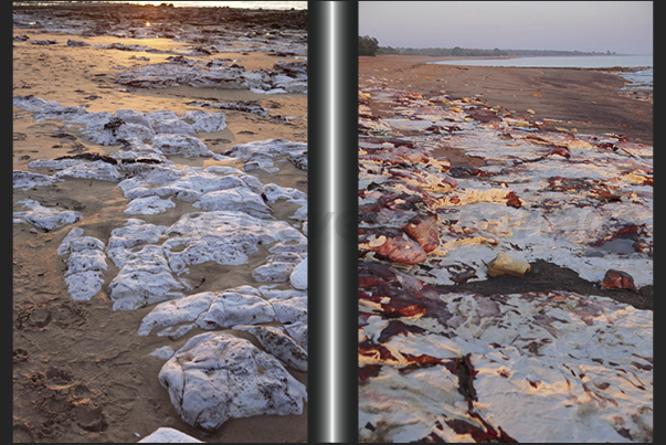 Cox Peninsula (west side of Darwin Bay). The sunset light highlights the red veins (oxidation of iron) present in the white rocks