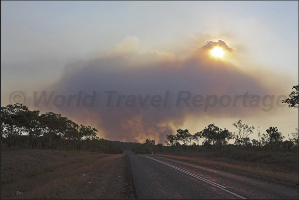 Cox Peninsula, town of Mandorah. Fire in the bush to burn the weeds, waiting the rains that will grow new vegetation Cox Peninsula, town of Mandorah. Fire in the bush to burn the weeds, waiting the rains that will grow new vegetation