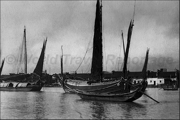 Junks, traditional Chinese boats, in harbor Junks, traditional Chinese boats, in harbor