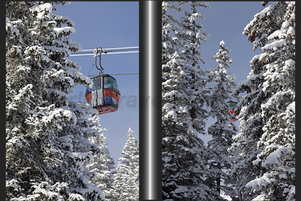 The forests along the slopes of the Mount Lauberhorn above Grindelwald