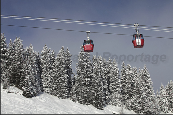 The forests along the slopes of the Mount Lauberhorn above Grindelwald