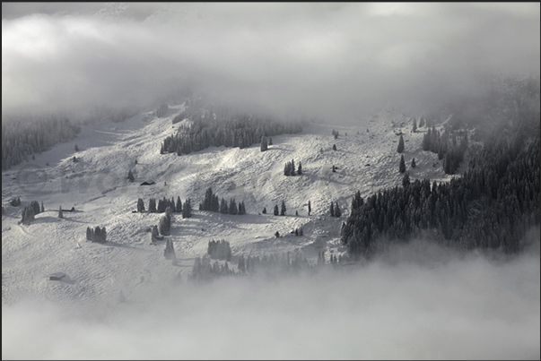 Descent to Wengen following the slope of the World Cup of Skiing