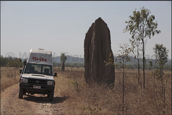 The area of the giant termite mounds