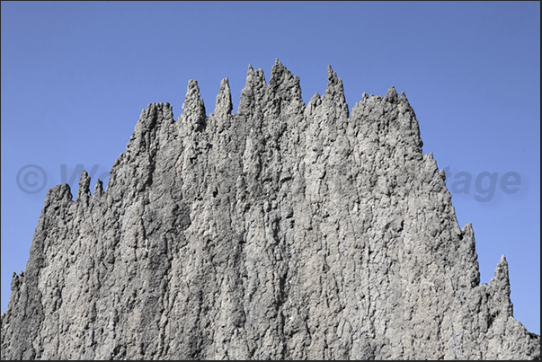 Magnetic Termite Mounds