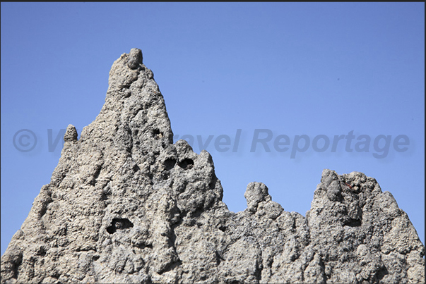 Magnetic Termite Mounds