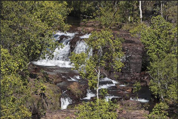 Florence Falls. Waterfalls in the forest with a series of natural pools where is possible to swim safely