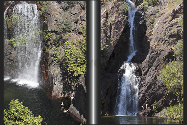 Wangi Falls (left) and Florence Falls. Waterfalls in the forest with a series of natural pools where is possible to swim safely Wangi Falls (left) and Florence Falls. Waterfalls in the forest with a series of natural pools where is possible to swim safely