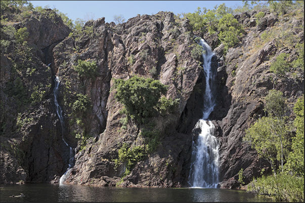 Wangi Falls Wangi Falls