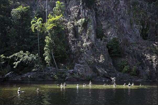 The lake produced by Wangi Falls