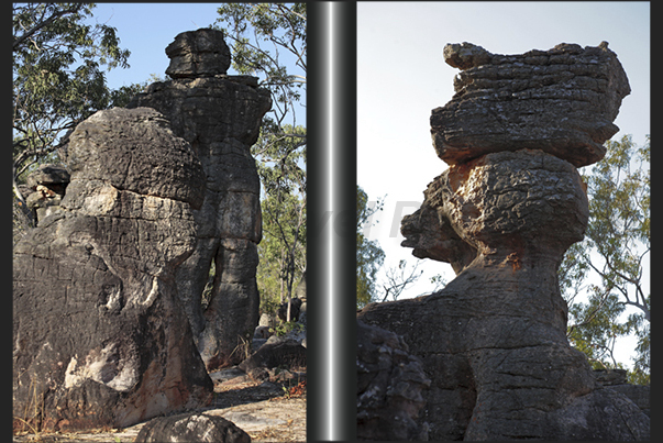 The Lost City. Rock formations that look like the ruins of an ancient city hidden in the forest