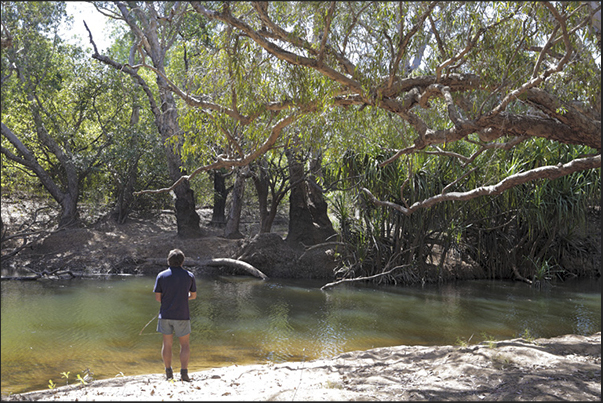 Relaxing on the road through the Kakadu NP. Barramundi fishing. The Barramundi is a freshwater fish good to eat grilled Relaxing on the road through the Kakadu NP. Barramundi fishing. The Barramundi is a freshwater fish good to eat grilled