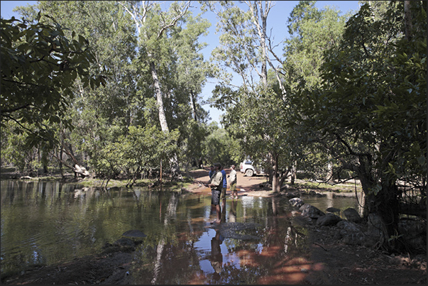 On the road through the Kakadu National Park. Barramundi fishing. The Barramundi is a freshwater fish good to eat grilled