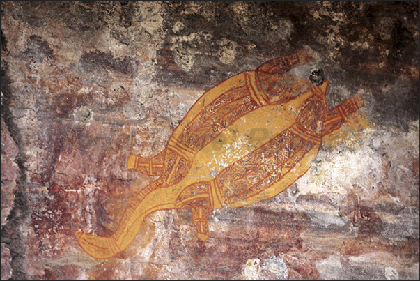 Gumbalanya (Oenpelli). Rock paintings on the Injalak Hill. A turtle Gumbalanya (Oenpelli). Rock paintings on the Injalak Hill. A turtle
