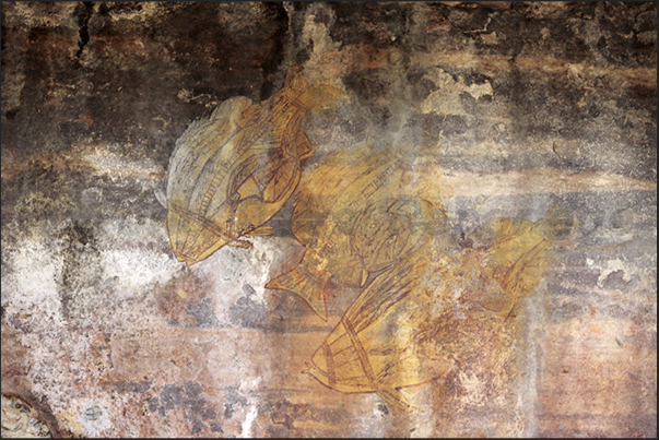 Gumbalanya (Oenpelli). Rock paintings on the Injalak Hill, fish Gumbalanya (Oenpelli). Rock paintings on the Injalak Hill, fish