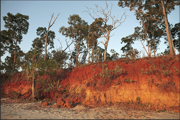 Cobourg Peninsula. The beaches and coastline at sunset, turn red