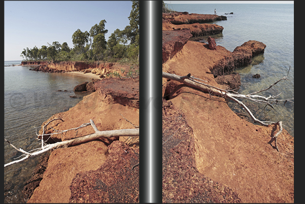 Cobourg Peninsula, Garig Ganuk Barlu NP. At sunset, the cliffs take a red color due to the low angle of the sun on the horizon