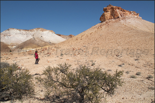 The Painted Desert is an ancient Inland Sea bed where the hills are the result of rain, weather and erosion